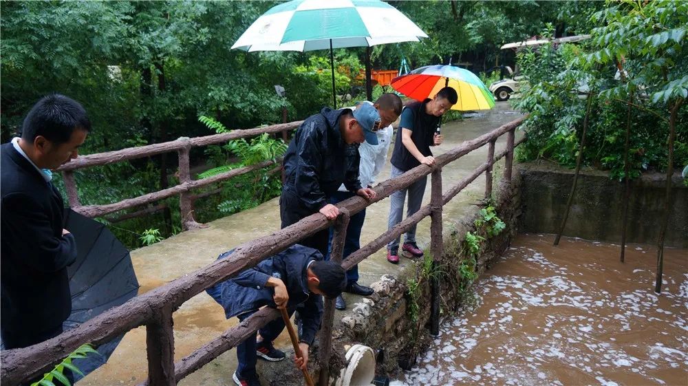 赵丽颖王一博有翡 赵丽颖王一博有翡