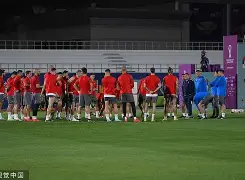 塞尔维亚队力克头号种子，欧国联人气升温的简单介绍