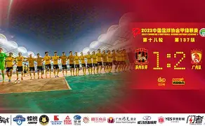 C7娱乐-德累斯顿客场逆转，保级形势稍显乐观